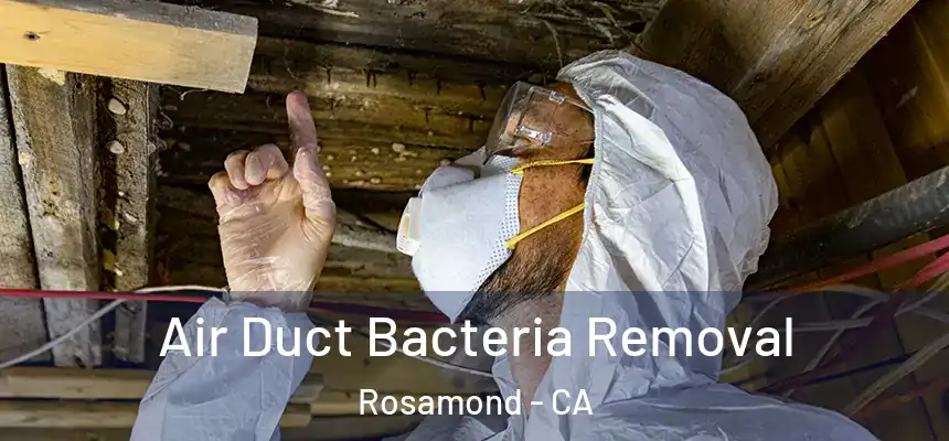  Air Duct Bacteria Removal Rosamond - CA