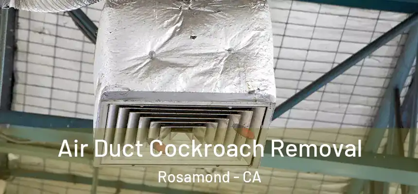  Air Duct Cockroach Removal Rosamond - CA