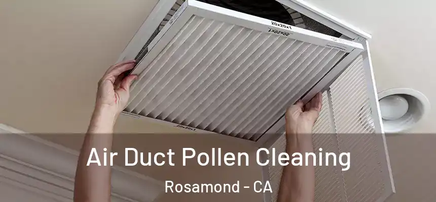  Air Duct Pollen Cleaning Rosamond - CA
