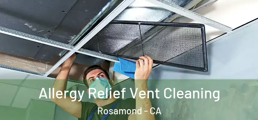  Allergy Relief Vent Cleaning Rosamond - CA