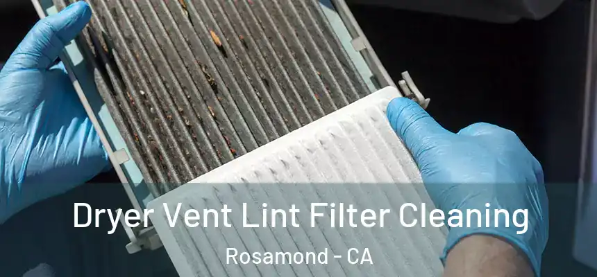  Dryer Vent Lint Filter Cleaning Rosamond - CA