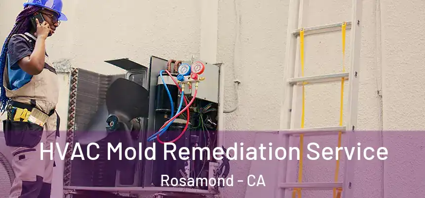  HVAC Mold Remediation Service Rosamond - CA