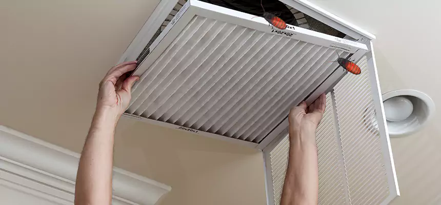 Preventive Cockroach-Proofing for Ducts in Rosamond