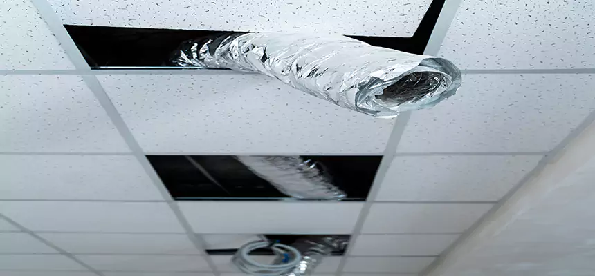 Our Air Duct Pet Hair Removal Services in Rosamond, CA