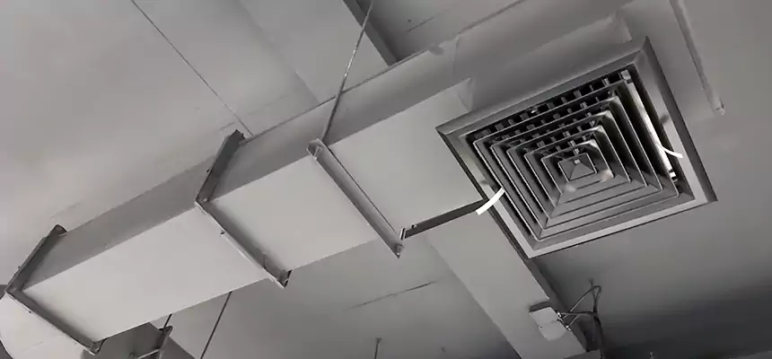 Our Pest Removal From Ducts Services in Rosamond, CA