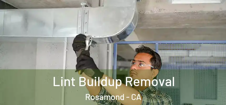  Lint Buildup Removal Rosamond - CA