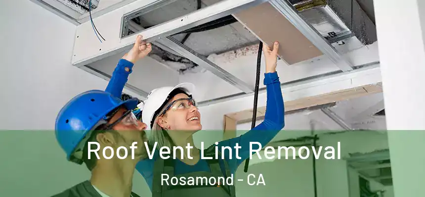  Roof Vent Lint Removal Rosamond - CA