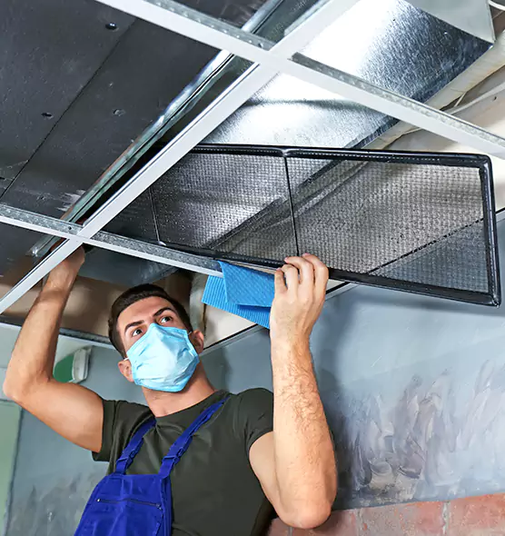 About Air Duct Bacteria Removal in Rosamond
