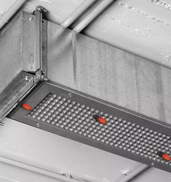 About Air Duct Cockroach Removal in Rosamond, CA