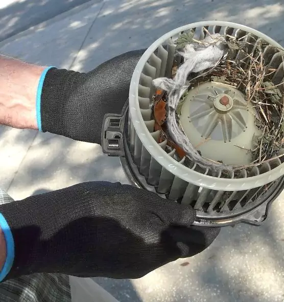 About Air Duct Mice Removal in Rosamond, CA