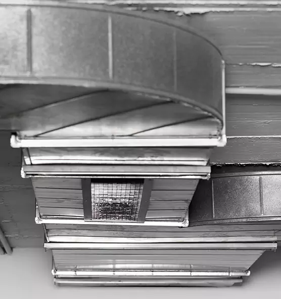 Professional Air Duct Pet Hair Removal in Rosamond, CA