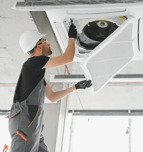 About Air Duct Rodent Removal in Rosamond, CA